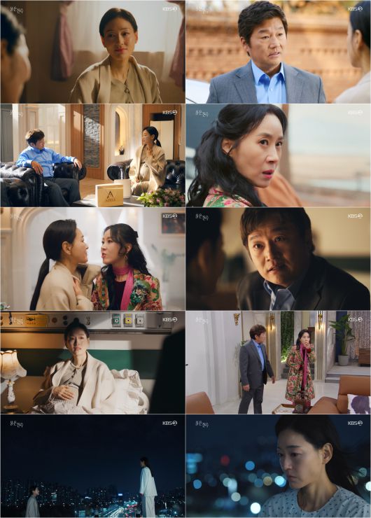 스타데일리뉴스