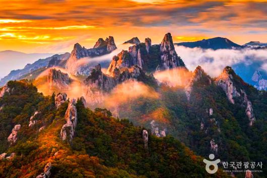 스타데일리뉴스