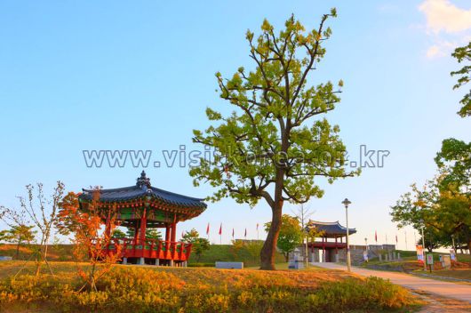 스타데일리뉴스