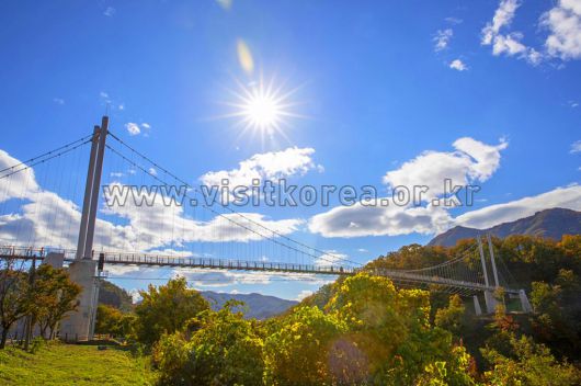 스타데일리뉴스