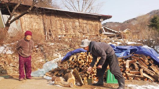 스타데일리뉴스