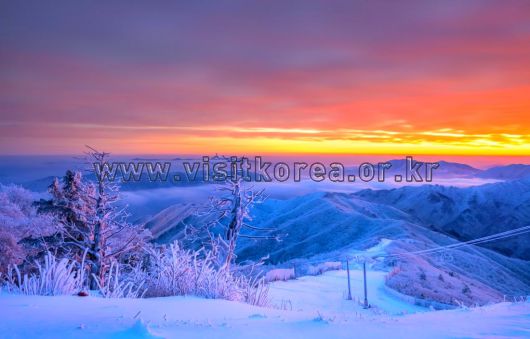 스타데일리뉴스