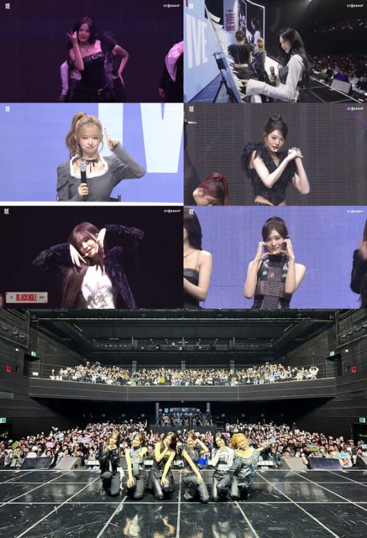 스타데일리뉴스