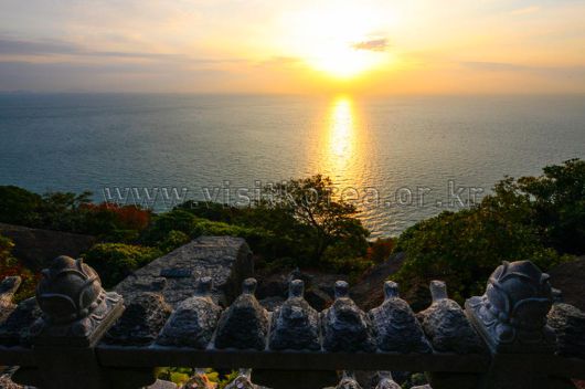 스타데일리뉴스