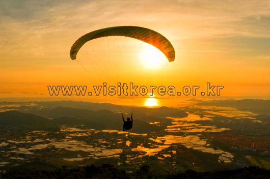 스타데일리뉴스