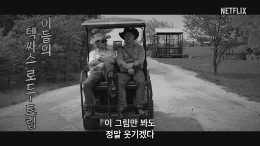 스타데일리뉴스