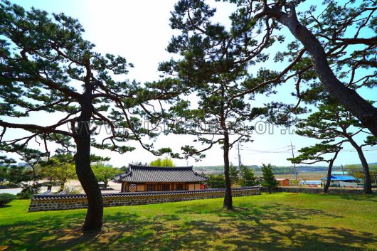 스타데일리뉴스