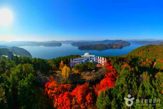 스타데일리뉴스