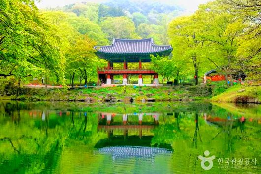 스타데일리뉴스