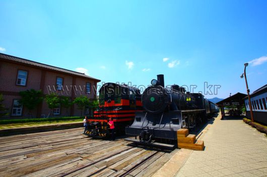 스타데일리뉴스