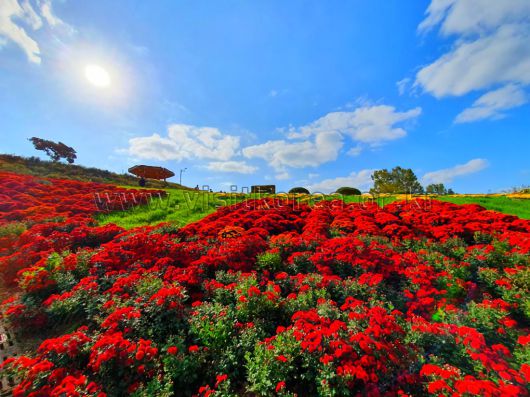 스타데일리뉴스