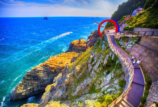 스타데일리뉴스