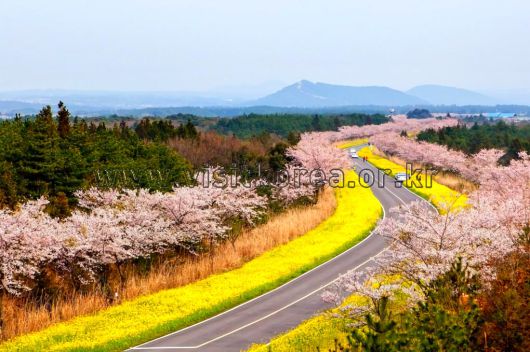 스타데일리뉴스