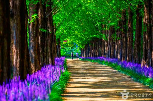 스타데일리뉴스