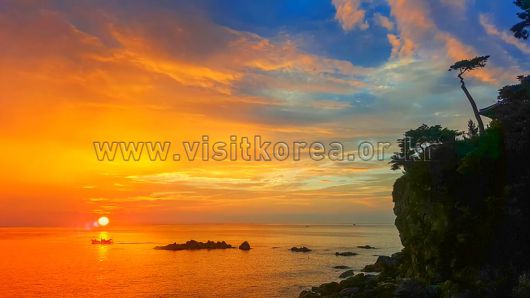 스타데일리뉴스