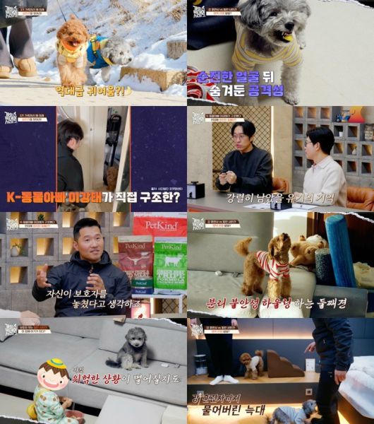 스타데일리뉴스