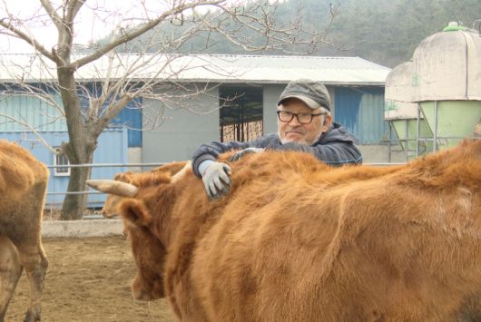 스타데일리뉴스