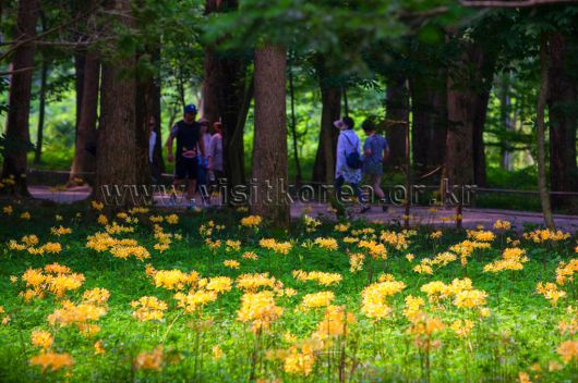 스타데일리뉴스