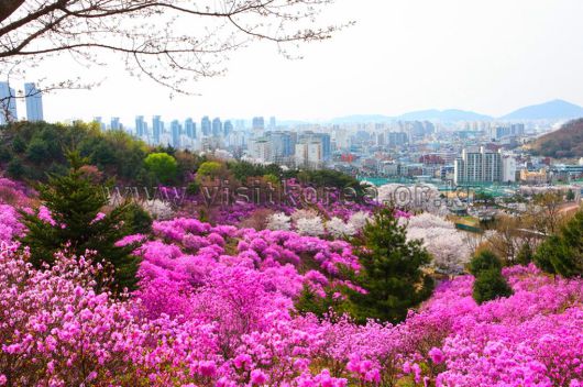 스타데일리뉴스