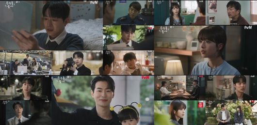 스타데일리뉴스