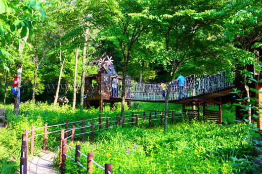 스타데일리뉴스