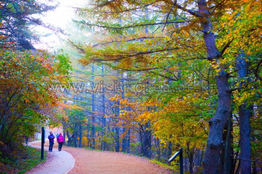 스타데일리뉴스