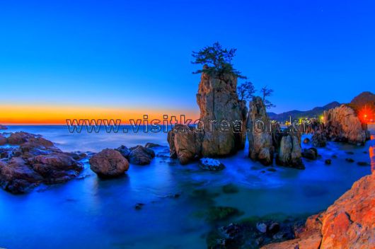 스타데일리뉴스