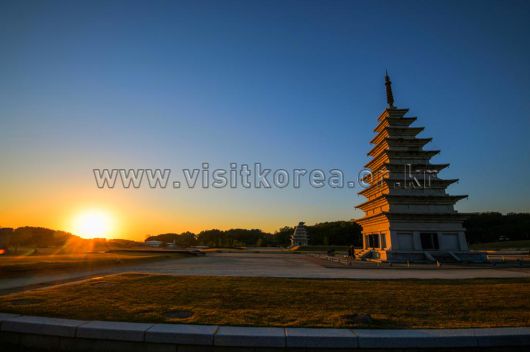 스타데일리뉴스