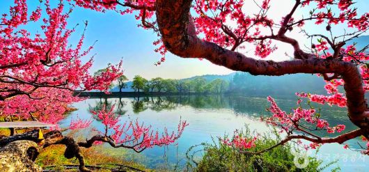 스타데일리뉴스