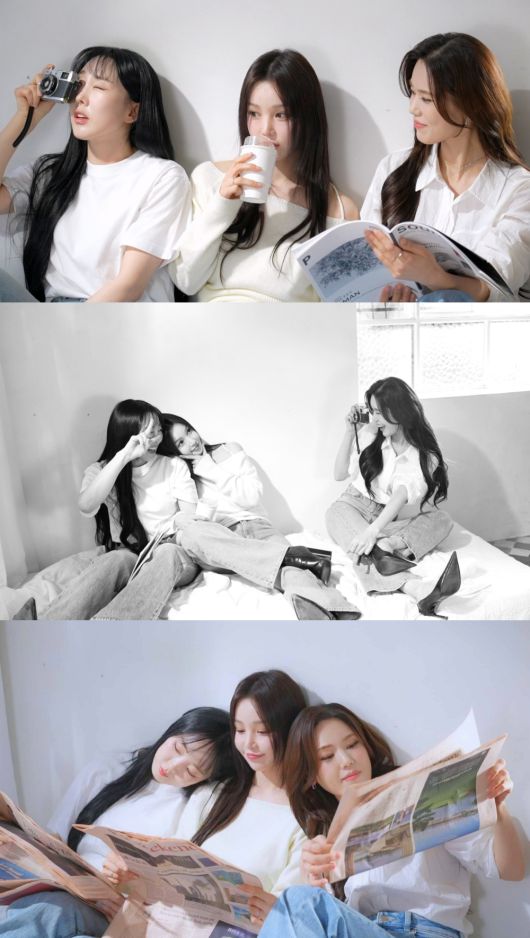 스타데일리뉴스