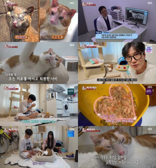 스타데일리뉴스