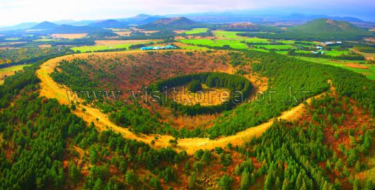 스타데일리뉴스