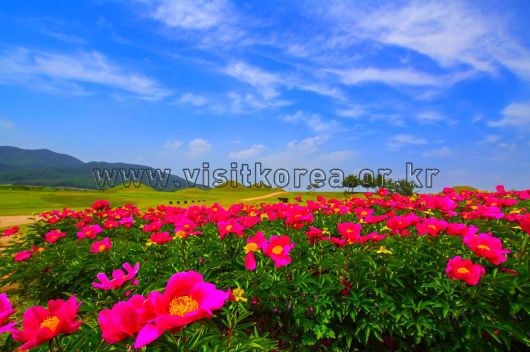 스타데일리뉴스