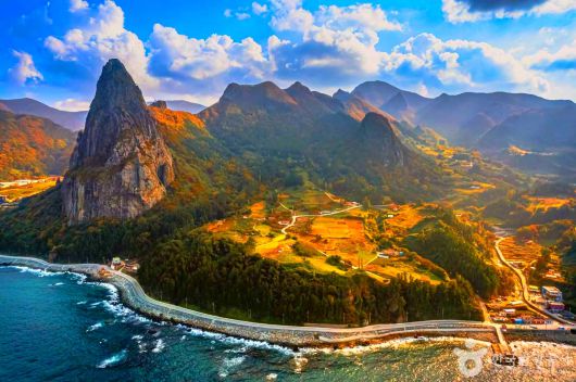 스타데일리뉴스