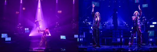 스타데일리뉴스