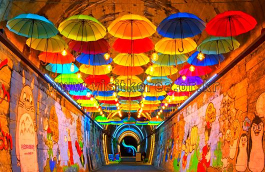 스타데일리뉴스