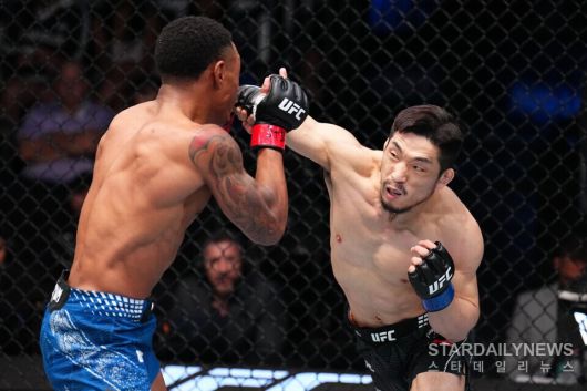 스타데일리뉴스