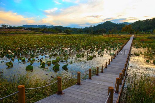 스타데일리뉴스