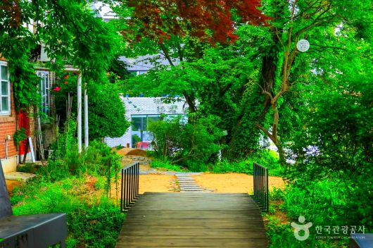 스타데일리뉴스