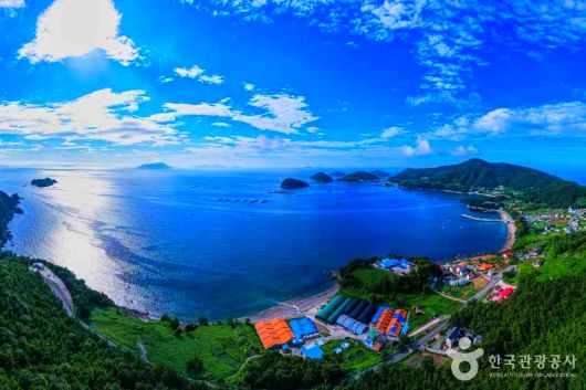 스타데일리뉴스