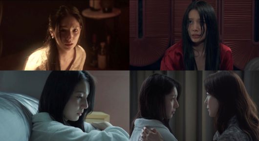 스타데일리뉴스