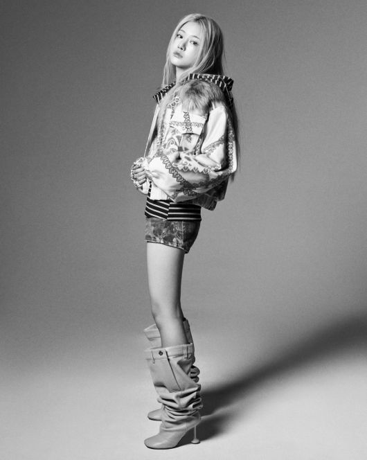 스타데일리뉴스