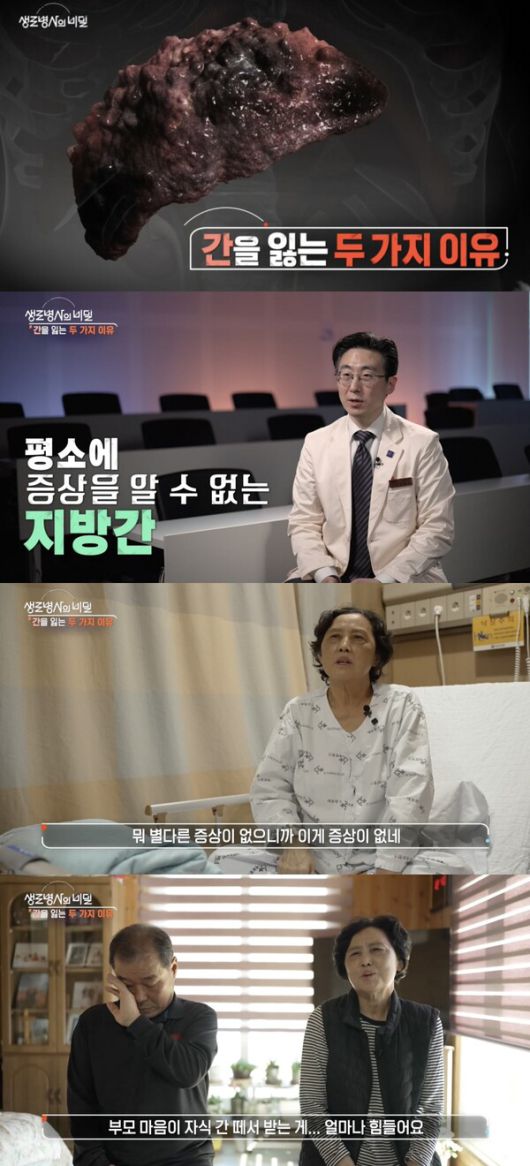 스타데일리뉴스