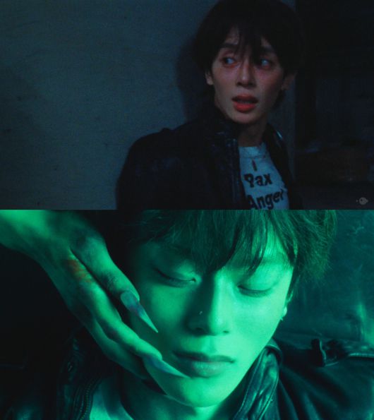 스타데일리뉴스