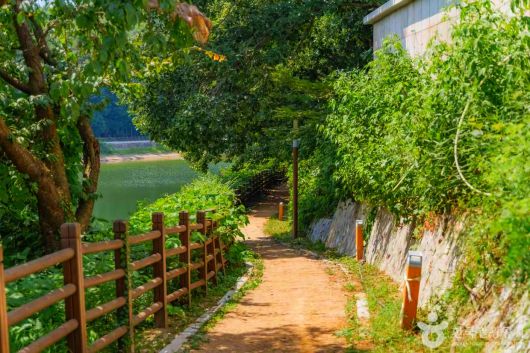 스타데일리뉴스