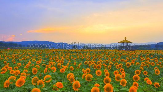 스타데일리뉴스