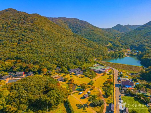 스타데일리뉴스