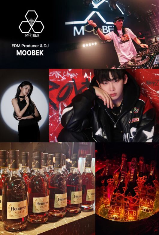 스타데일리뉴스