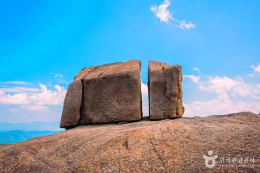 스타데일리뉴스