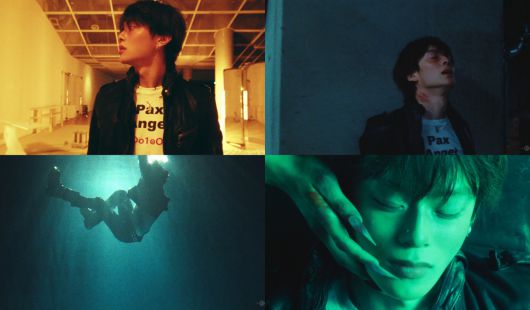 스타데일리뉴스